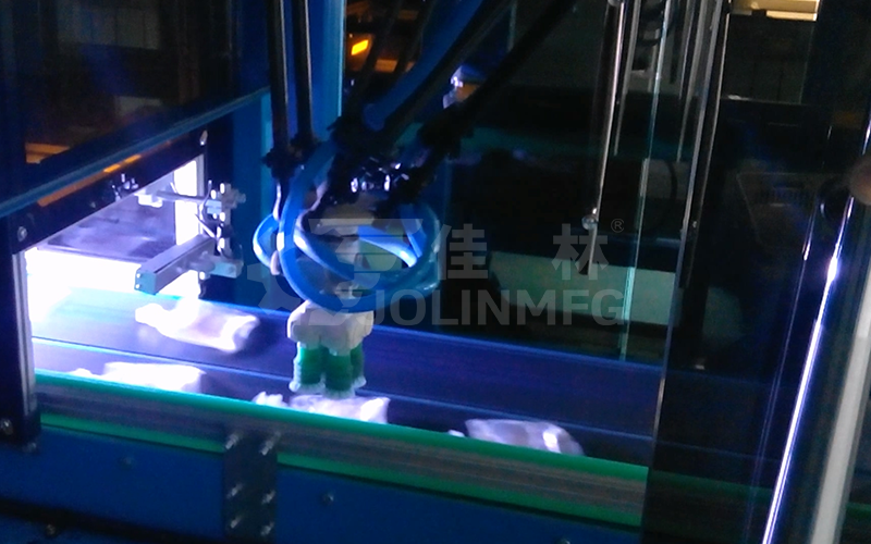 醫(yī)藥行業(yè)軟袋類產品自動整列包裝模塊